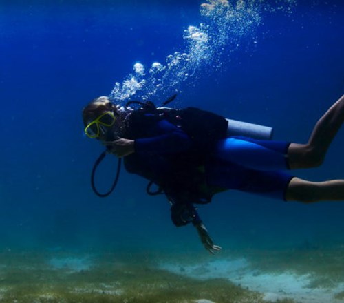 Αποδράσεις